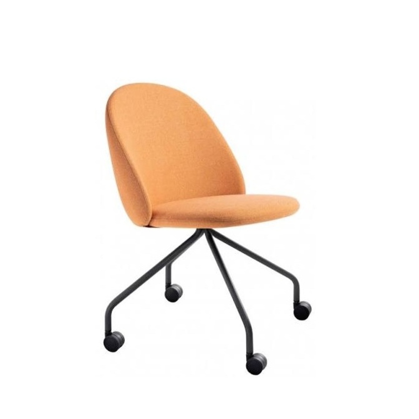 Iola Office